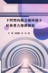 下凹型内孤立波环境下柱体受力规律研究