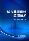 城市暴雨洪涝监测技术