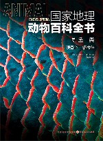 国家地理动物百科全书  鱼类  硬骨鱼辐鳍鱼