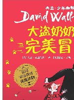 大盗奶奶的完美冒险