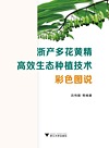 浙产多花黄精高效生态种植技术 彩色图说