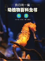 我的第一套动植物百科全书  4  鱼类 封面