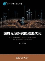 城域光网络智能资源优化