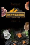 秘境阴条岭生物多样性丛书  阴条岭大型真菌图鉴