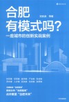 新经济丛书  合肥有模式吗  一座城市的创新实战案例 封面