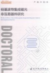 硅基波导集成磁光非互易器件研究封面