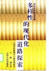 多样性的现代化道路探索  云南多民族地区小康村镇研究