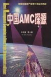 中国AMC探源 我国金融资产管理公司运作透视