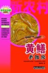 黄鳝养殖经