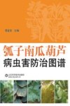 瓠子南瓜葫芦病虫害防治图谱