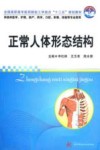 正常人体形态结构