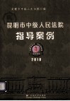 昆明市中级人民法院指导案例  2010