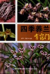 四季养兰有窍门