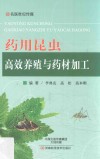 药用昆虫高效养殖与药材加工封面