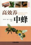 高效养中蜂封面
