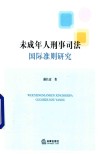 未成年人刑事司法国际准则研究