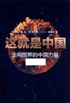 这就是中国  走向世界的中国力量