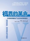 视界的革命  中国视频媒体产业市场考察报告