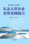 东北大型企业重整案例报告