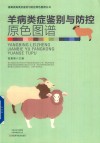 羊病类症鉴别与防控原色图谱