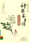 《神农本草经》用药指南