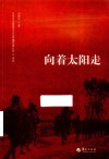 向着太阳走 电子书封面