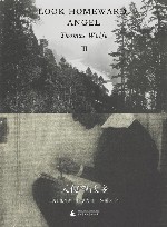 天使望故乡  3 封面