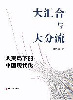 大汇合与大分流  大变局下的中国现代化 封面