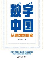 数字中国  从理想到现实