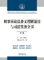 刑事诉讼法条文理解适用与司法实务全书  中