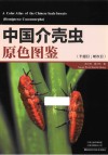 中国介壳虫原色图鉴  半翅目  蚧次目