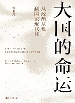 大国的命运  从政治危机到国家现代化 封面