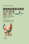 畜禽疾病类症鉴别与防控原色图谱丛书  禽病类症鉴别与防控原色图谱