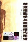 精液细胞学与超微结构图谱 封面