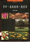 草坪·地被植物·观赏草