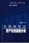 中国保险业资产负债建模分析