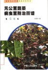 无公害蔬菜病虫害防治图谱  瓜类