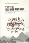 广西宁明花山岩画保护研究