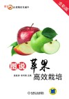 图说苹果高效栽培  全彩版