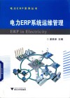 电力ERP系统运维管理
