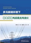 多元极端环境下输电线路风荷载及风效应 封面