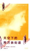 天空下的两万条街道