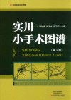 实用小手术图谱  第2版