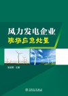 风力发电企业现场应急处置 封面