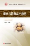 攀西马铃薯高产栽培