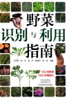野菜识别与利用指南