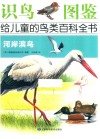 识鸟图鉴，给儿童的鸟类百科全书  河岸滨鸟