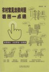 农村常见法律问题看图一点通  全民普法