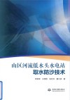 山区河流低水头水电站取水防沙技术