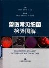 兽医常见细菌检验图解